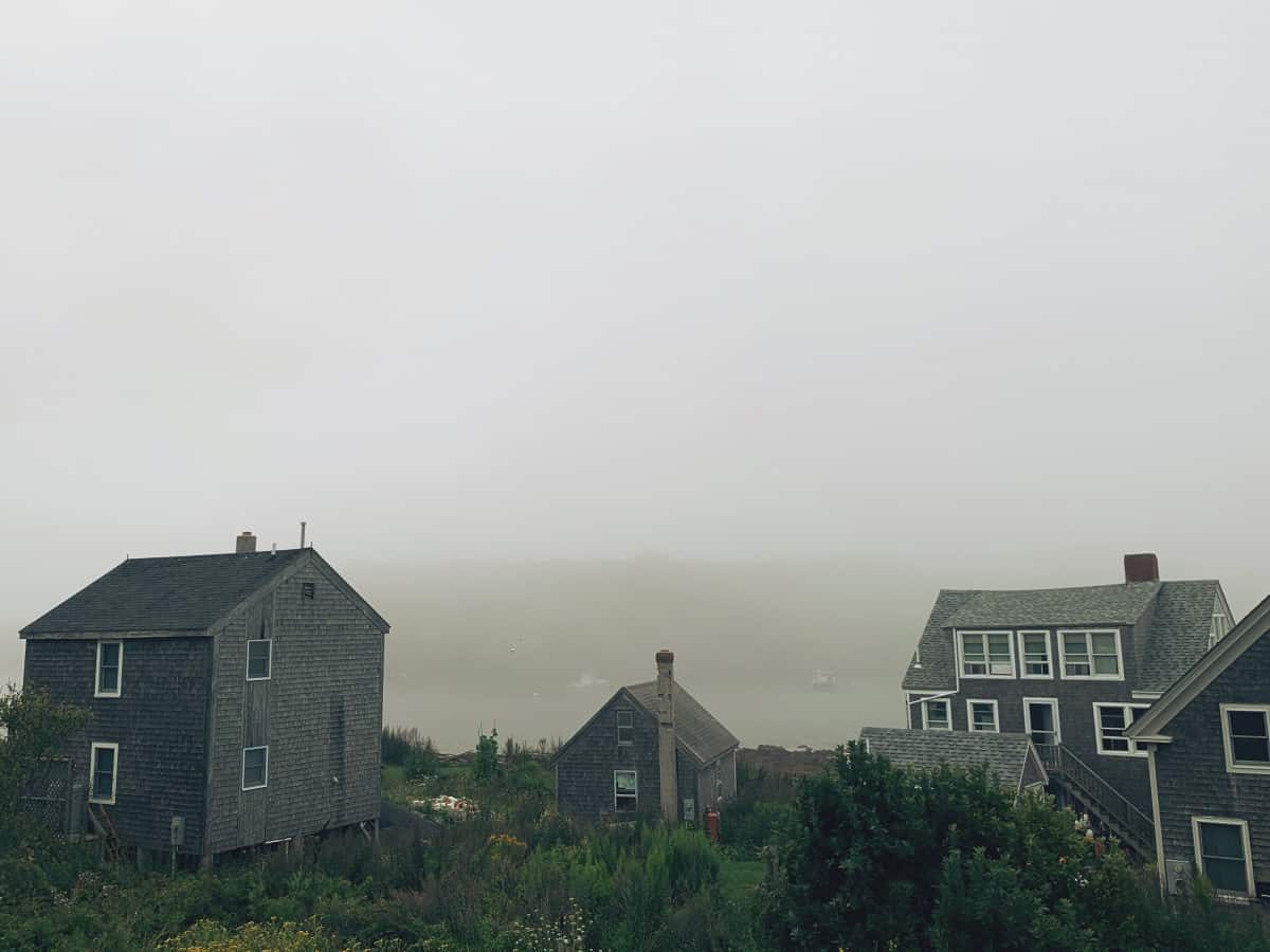 foggy monhegan island